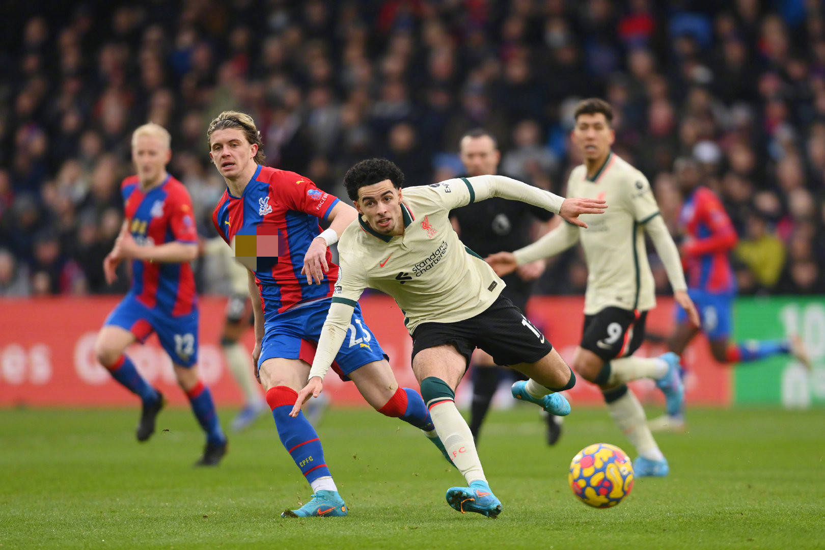 抗逐渐成为 抗逐渐成为